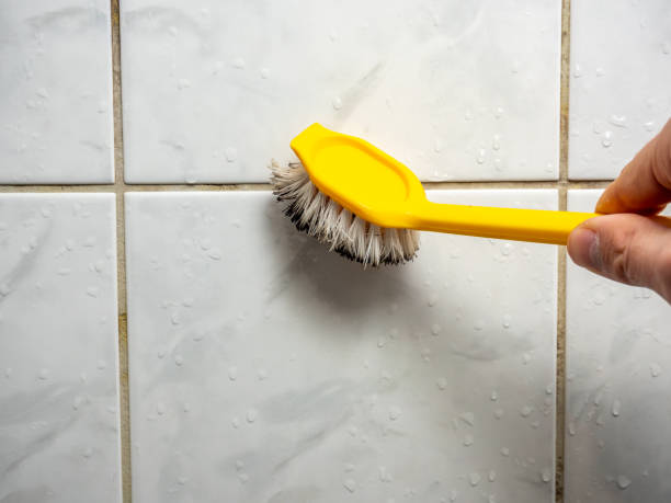 Water Damage Restoration in Champlin, MN