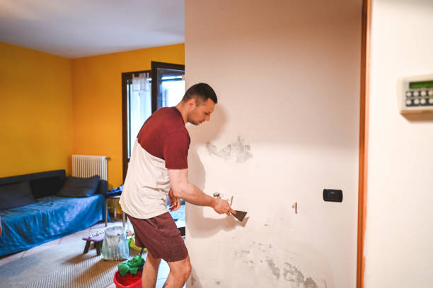 Mold Testing and Removal in Champlin, MN