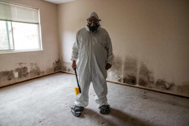 Best Crawl Space Mold Removal  in Champlin, MN
